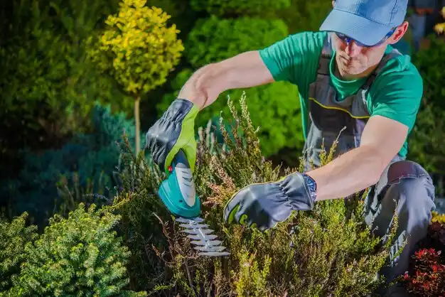 landscaping services Newman Grove